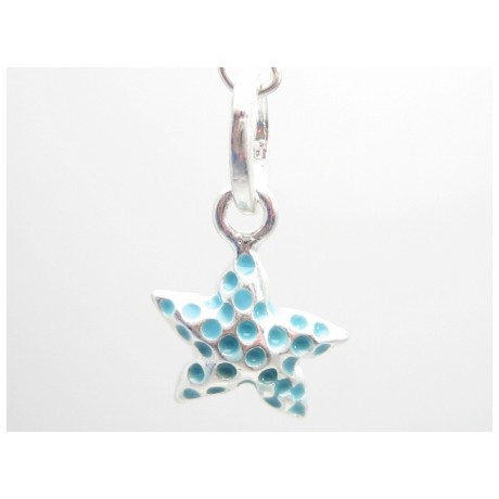 Søstjerne med turkis stene