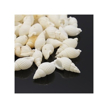 Konkylier hvide 20 mm - 6 stk